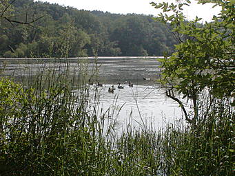 Liberty Lake, Maryland, USA