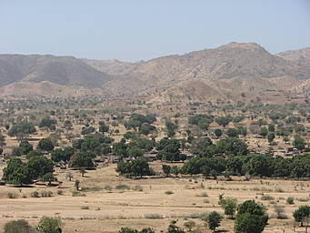 landscape of Kauda town