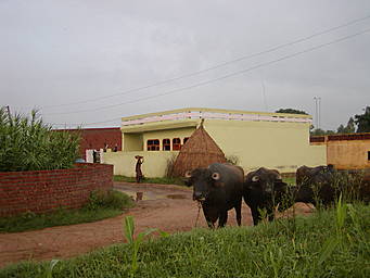 Naqgal village
